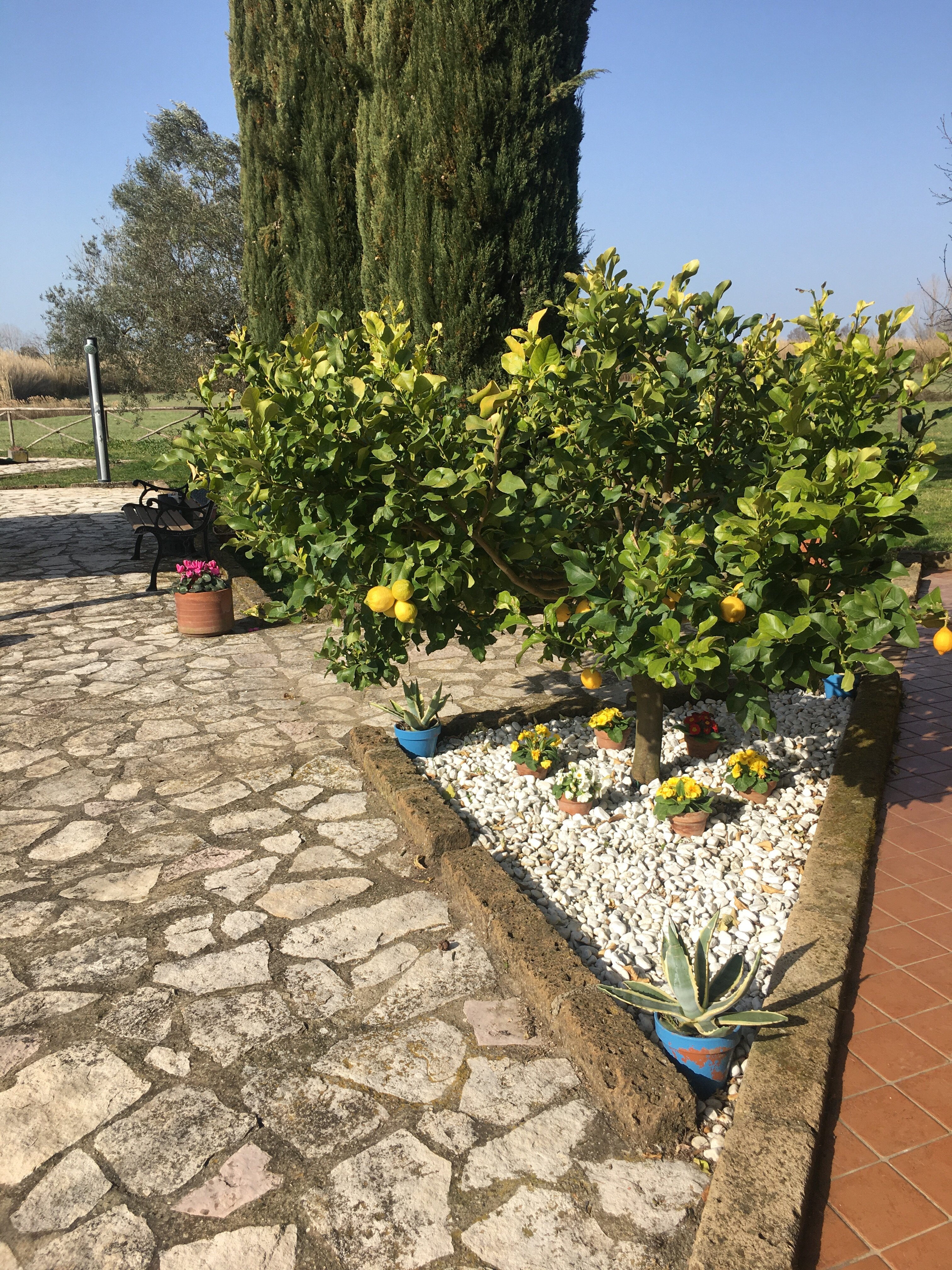 A Casa di Amici-官方