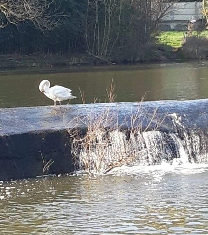 Vallée du thouet-Thouars必去景点
