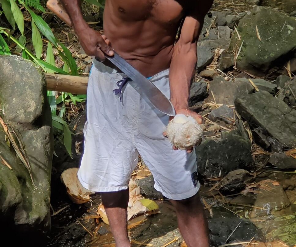 Bim's Jamaican Jungle Adventure Hike景点图片