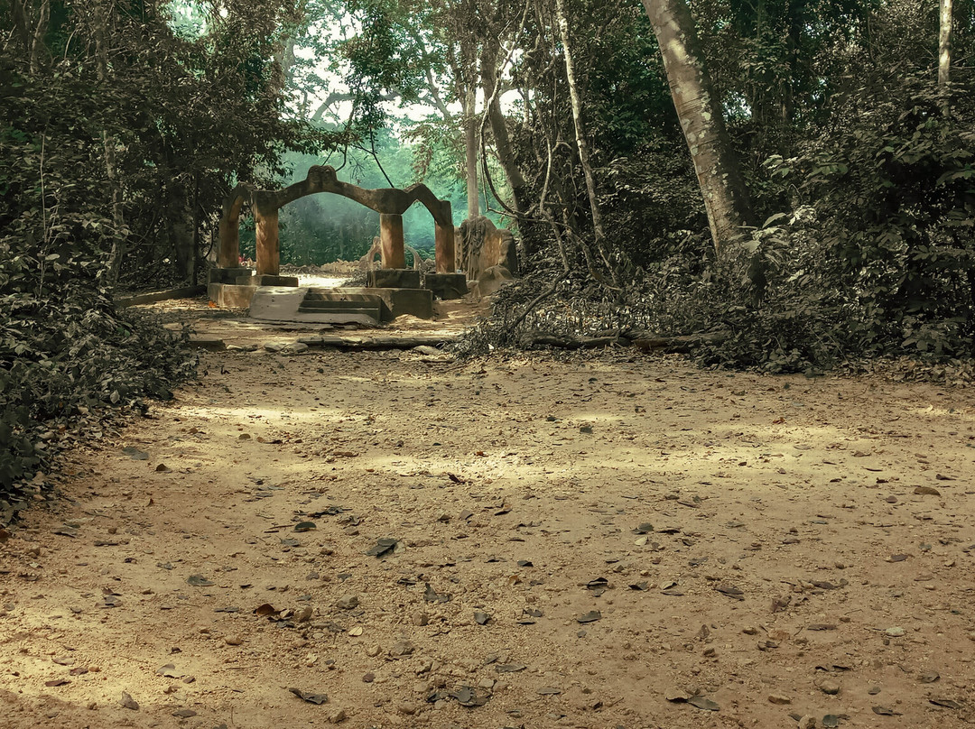 Osun-Osogbo Sacred Grove景点图片