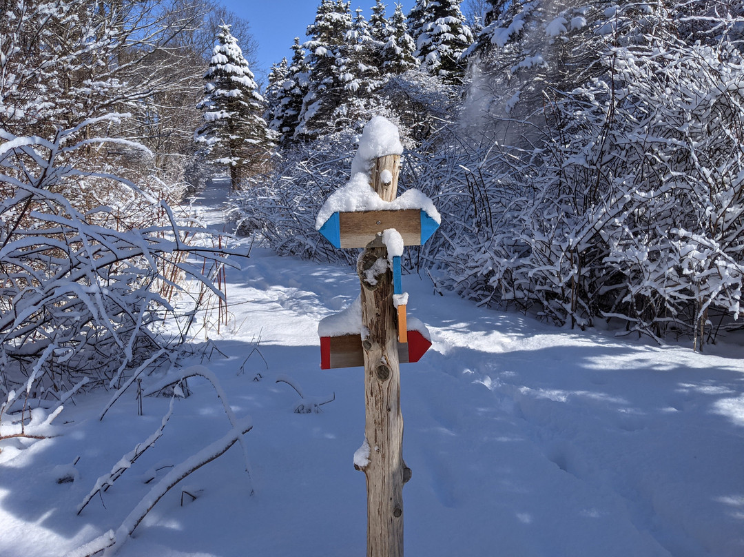 Spruce Acres Farm Trail-米德尔敦必去景点