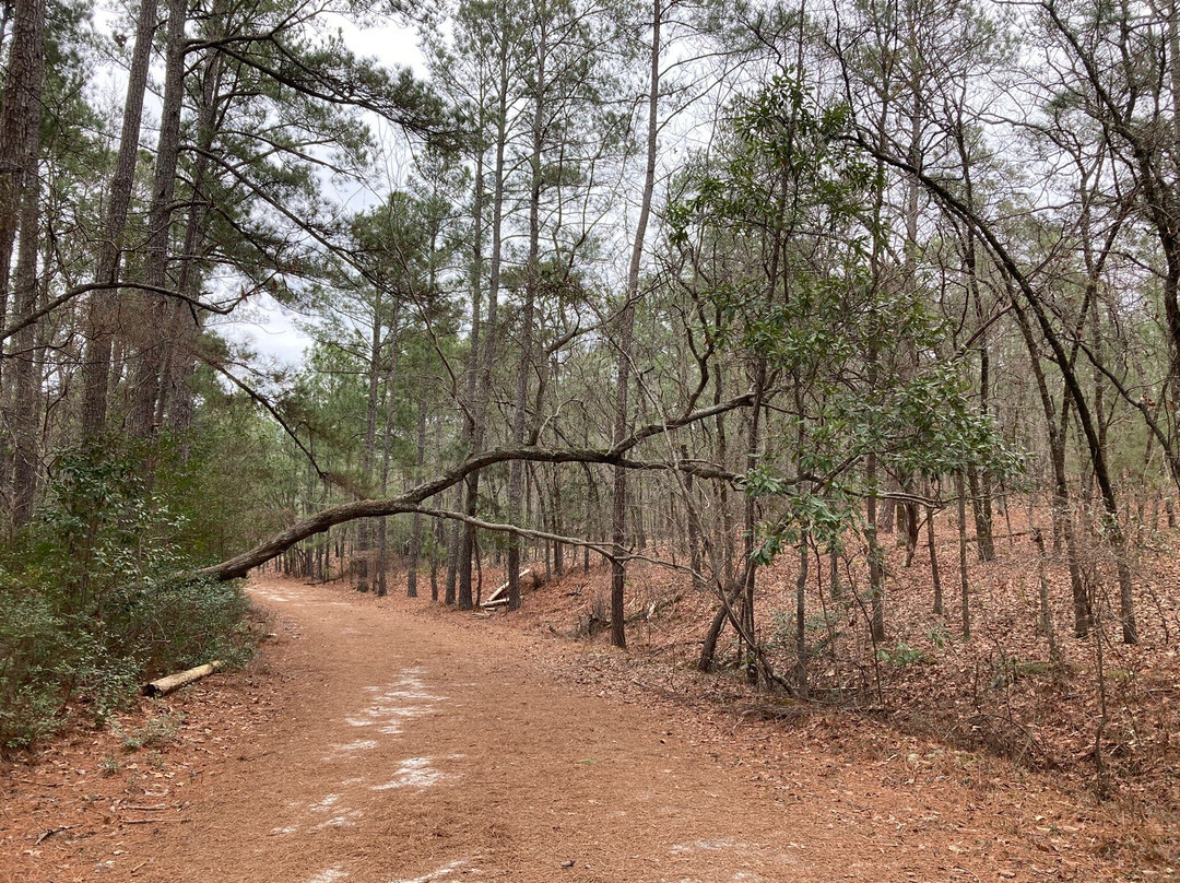 Sesquicentennial State Park-哥伦比亚必去景点