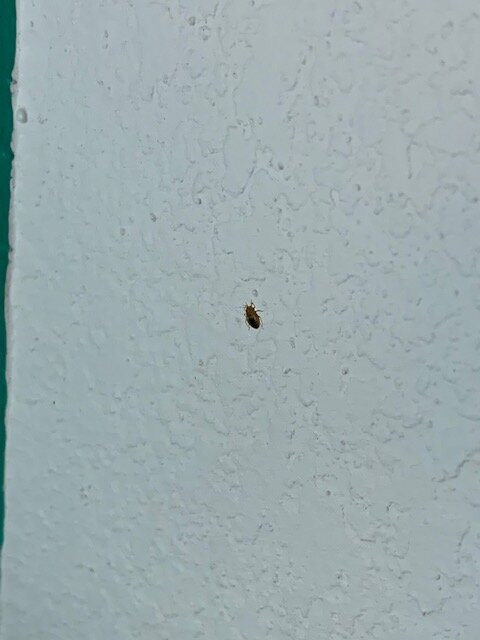 Holiday Inn Express Madison By IHG主图