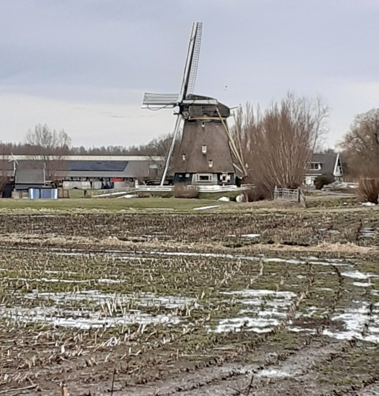 Broekzijdsemolen (1641)-Abcoude必去景点