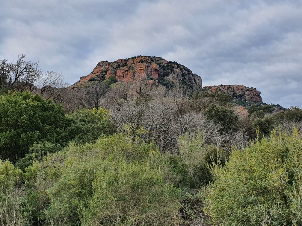 Rocher de Roquebrune景点图片