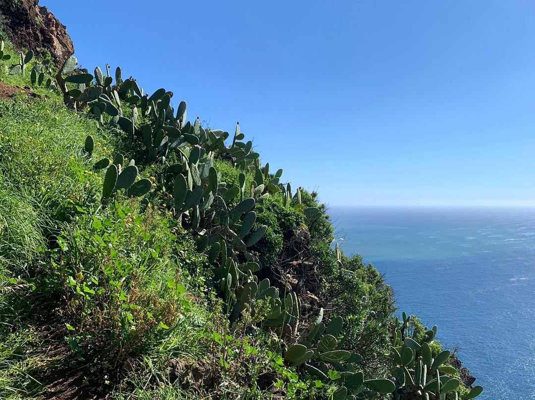 Vereda da Fajã Grande-Ponta do Pargo必去景点