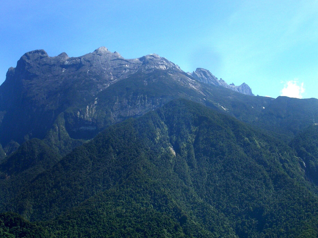 Full day Kinabalu Park + Bamboo Spring Tour
