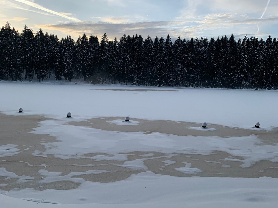 Naherholungszentrum Fichtelsee景点图片