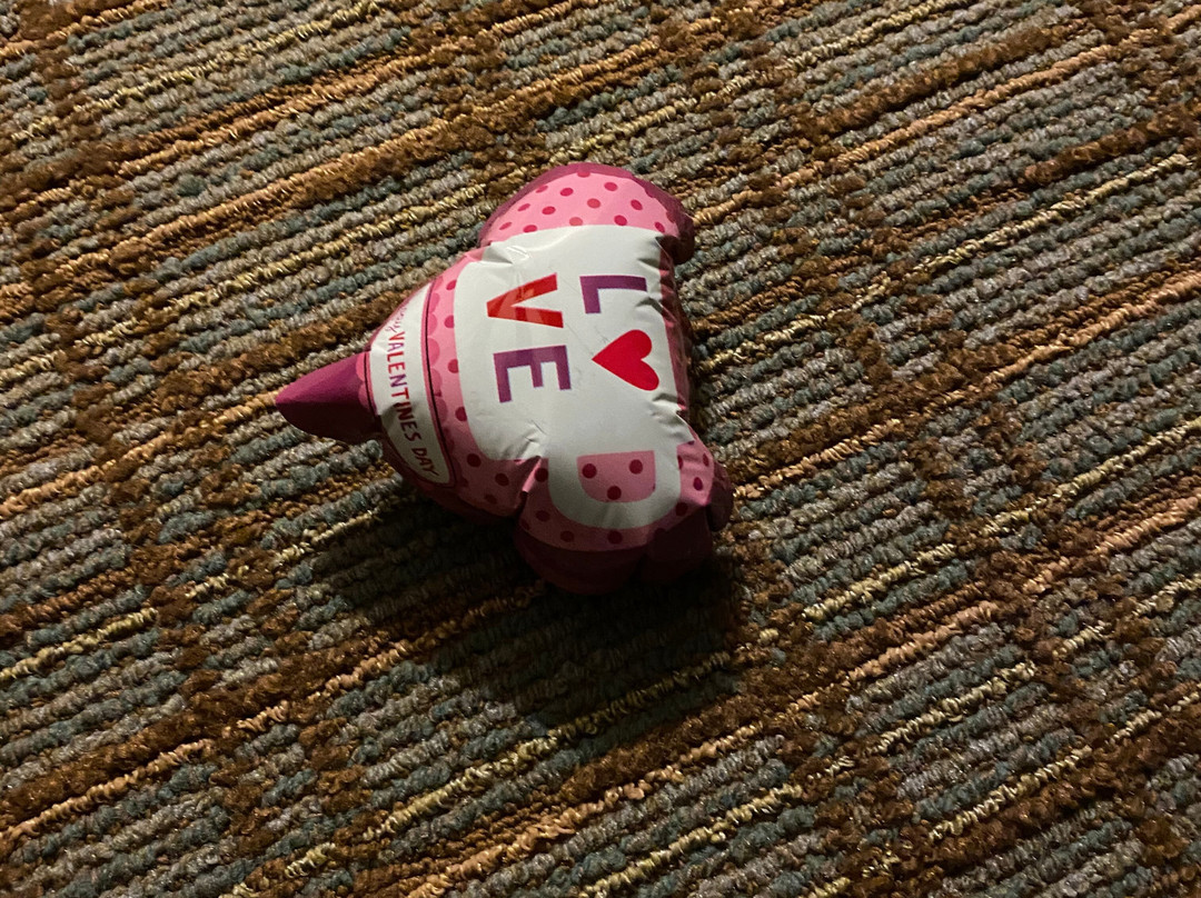 Comfort Inn & Suites主图