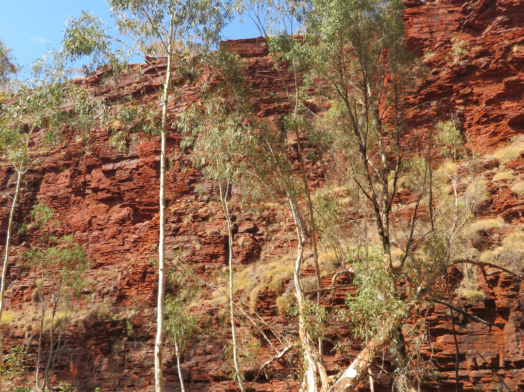 Weano Gorge (Handrail Pool)-Karijini National Park必去景点