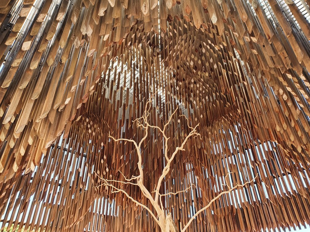 Tree Of Knowledge-Barcaldine必去景点