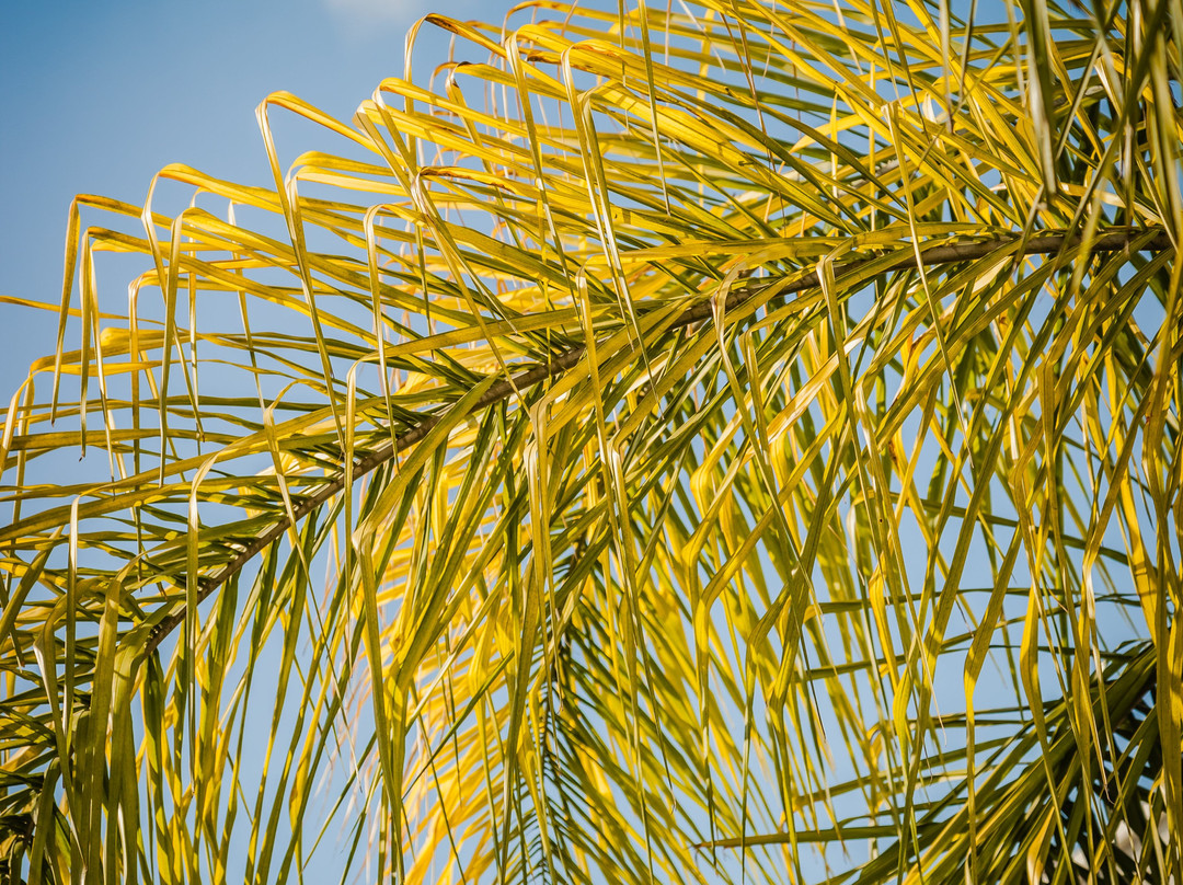 Fiesta Inn Monclova主图