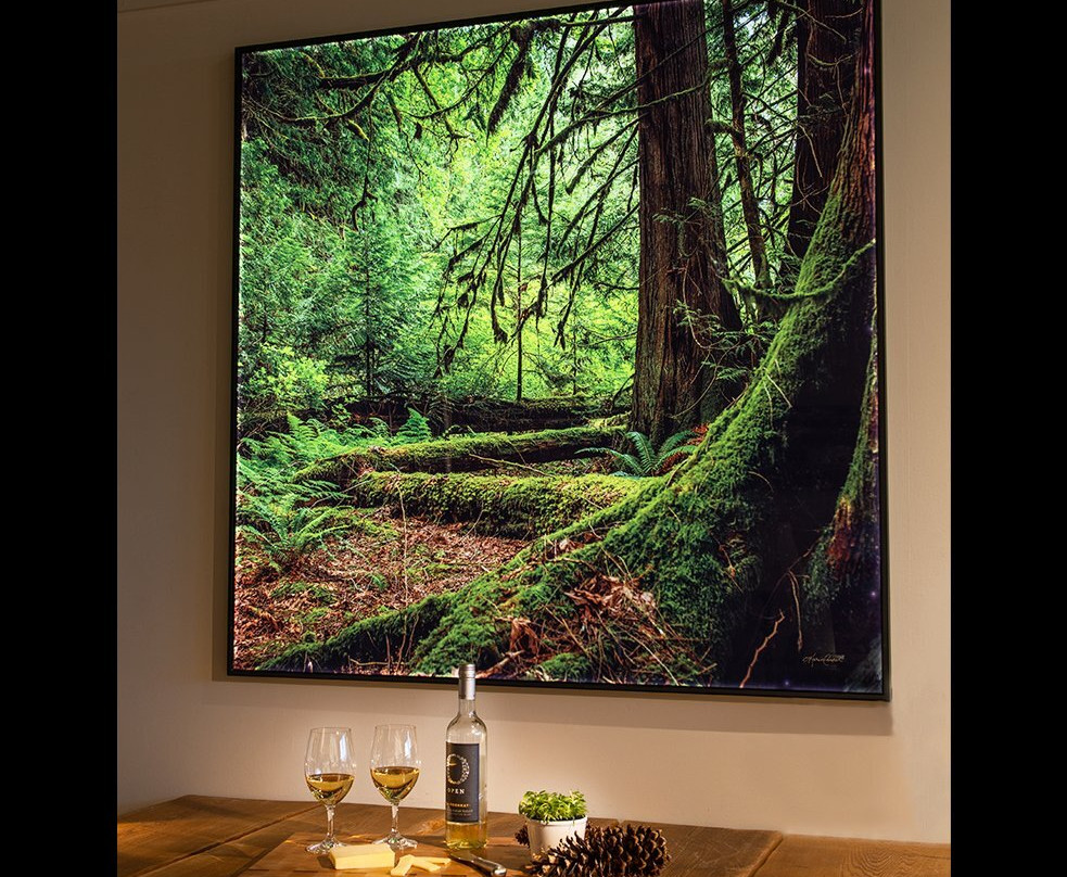 Karen Cooper Gallery-温哥华必去景点