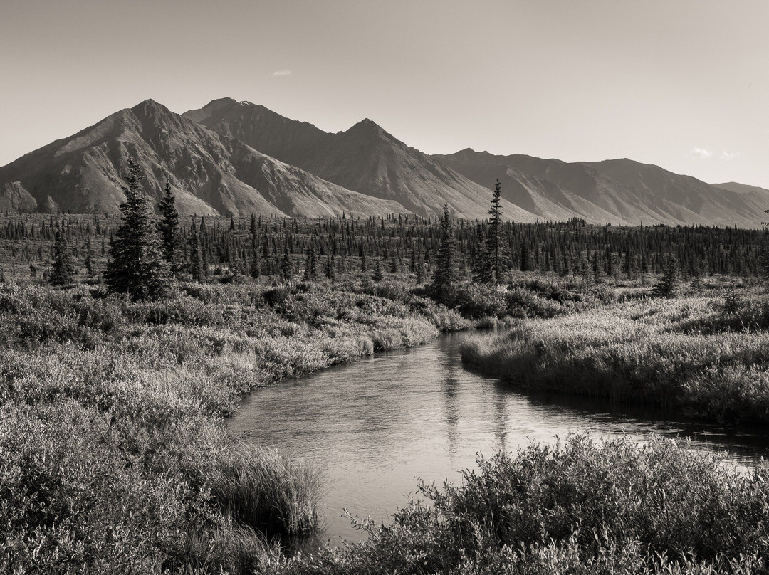 Denali Angler景点图片