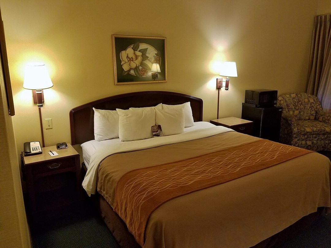 Comfort Inn & Suites Grundy主图