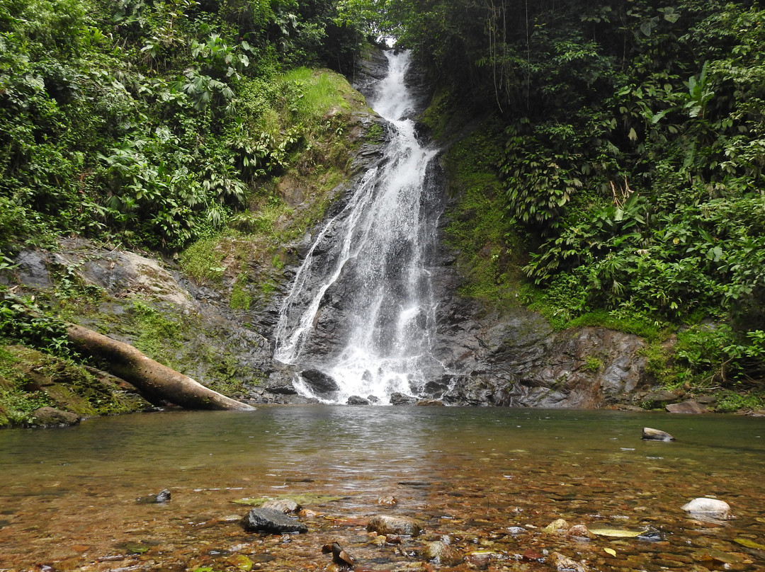 Reserva Natural y Ecoturistica La Avispa-Florencia必去景点