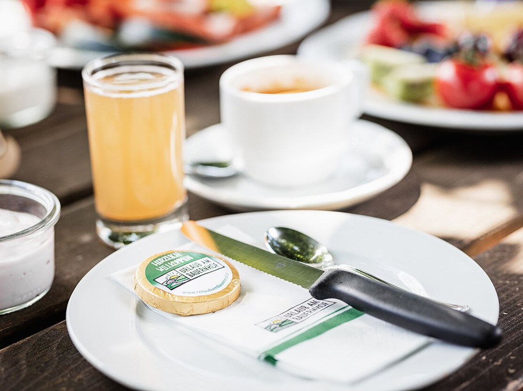 Urlaub Am Bauernhof Feldbauer主图