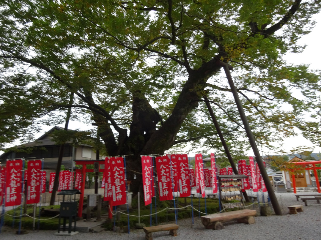 Chichibu Imamiya Shrine-秩父市必去景点