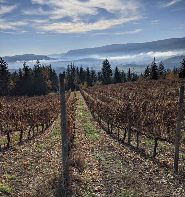 Larch Hills Winery景点图片