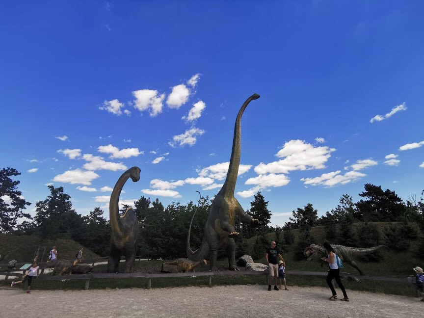 Veszprem Zoo景点图片