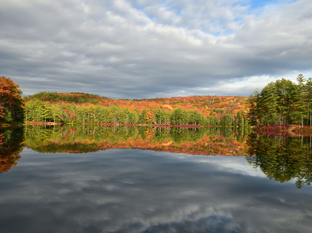 Goose Pond Loop景点图片