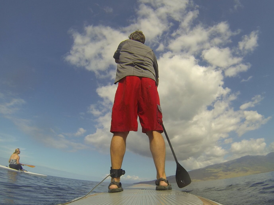 夏威夷座头鲸国家海洋保护-基黑必去景点