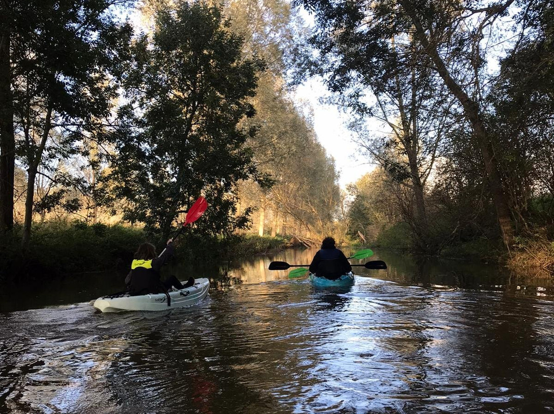 Clacton Kayak Rental景点图片