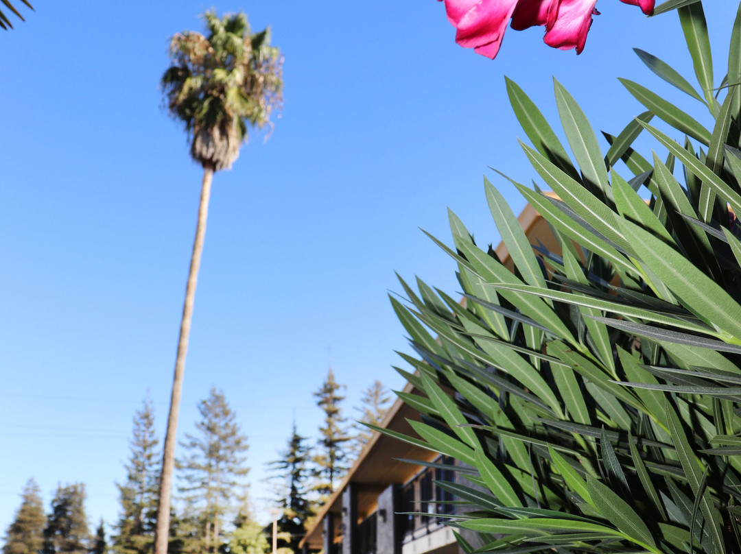 Sonoma Winegrower's Inn主图