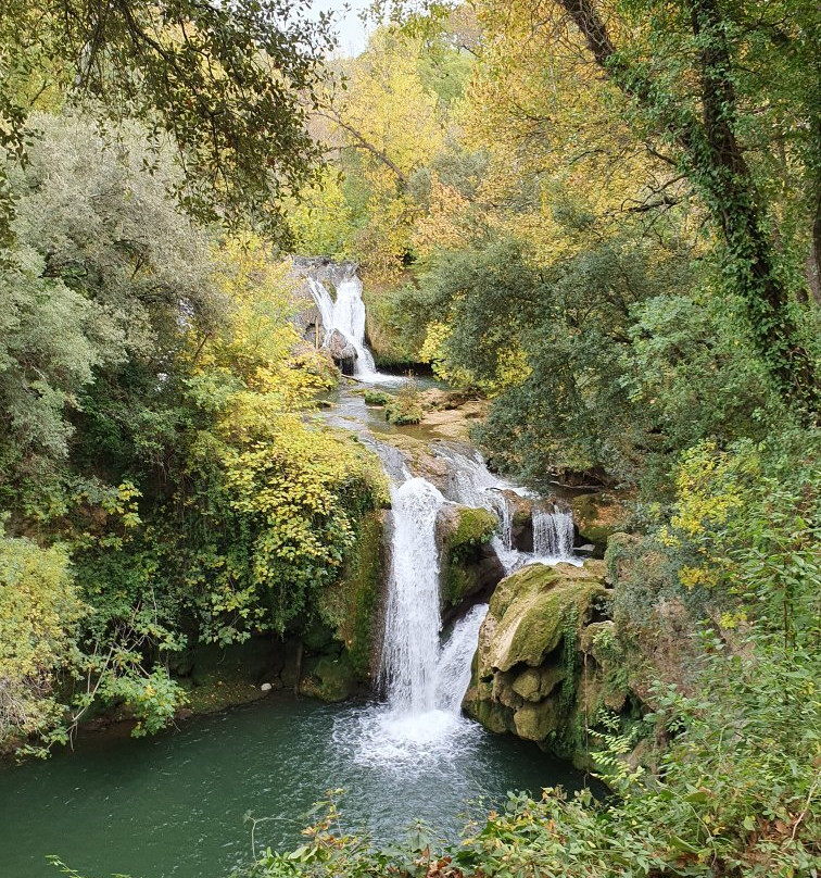 Lac de Carcès景点图片