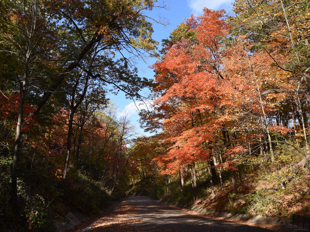 Openlands Lakeshore Preserve-Highland Park必去景点