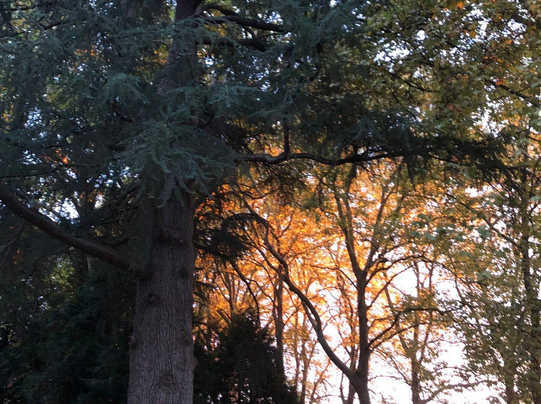 蒙泰马斯乐城堡酒店主图