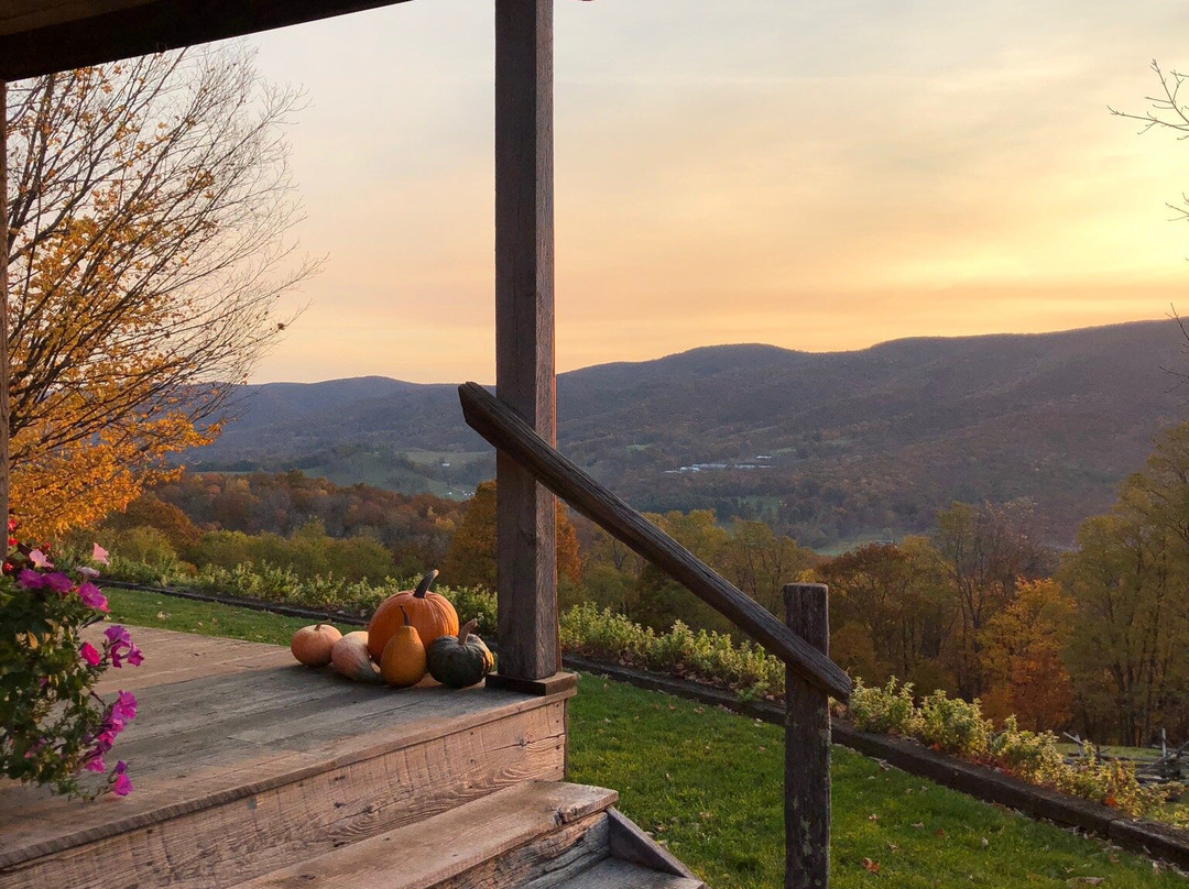 Laurel Point Retreat主图