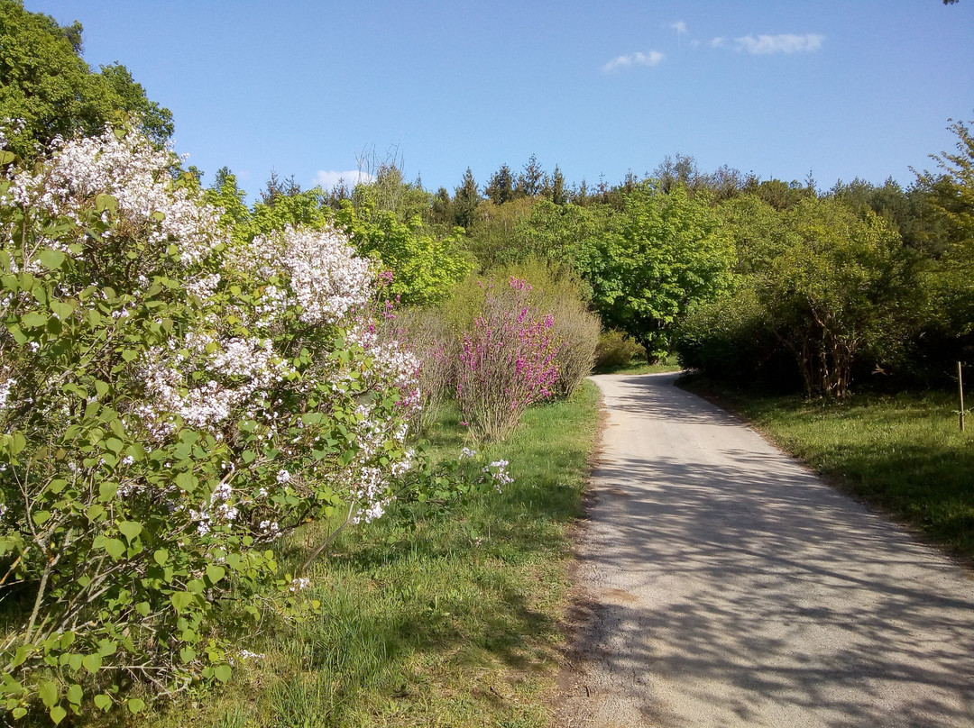 Arboretum Mlynany SAV-Slepcany必去景点