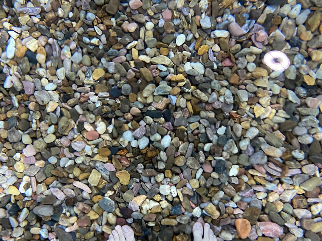 Evans Plunge Mineral Springs-温泉城必去景点