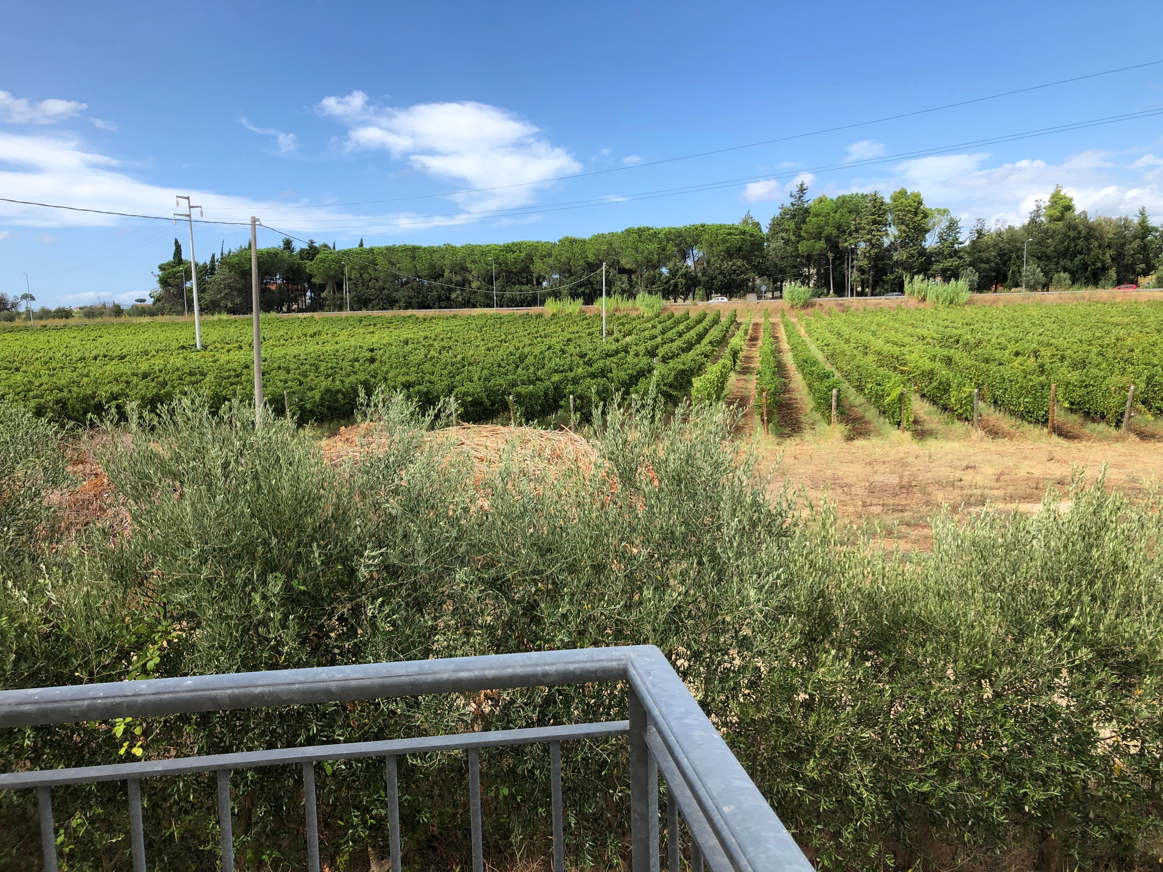 Agriappartamenti Borgo Guglielmo-酒店景观