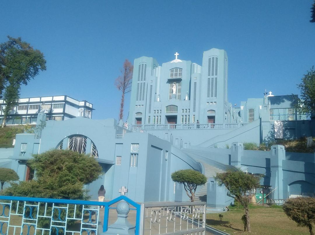 Cathedral of Mary Help of Christians景点图片