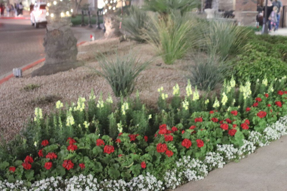 The Shoppes At Casa-钱德勒必去景点