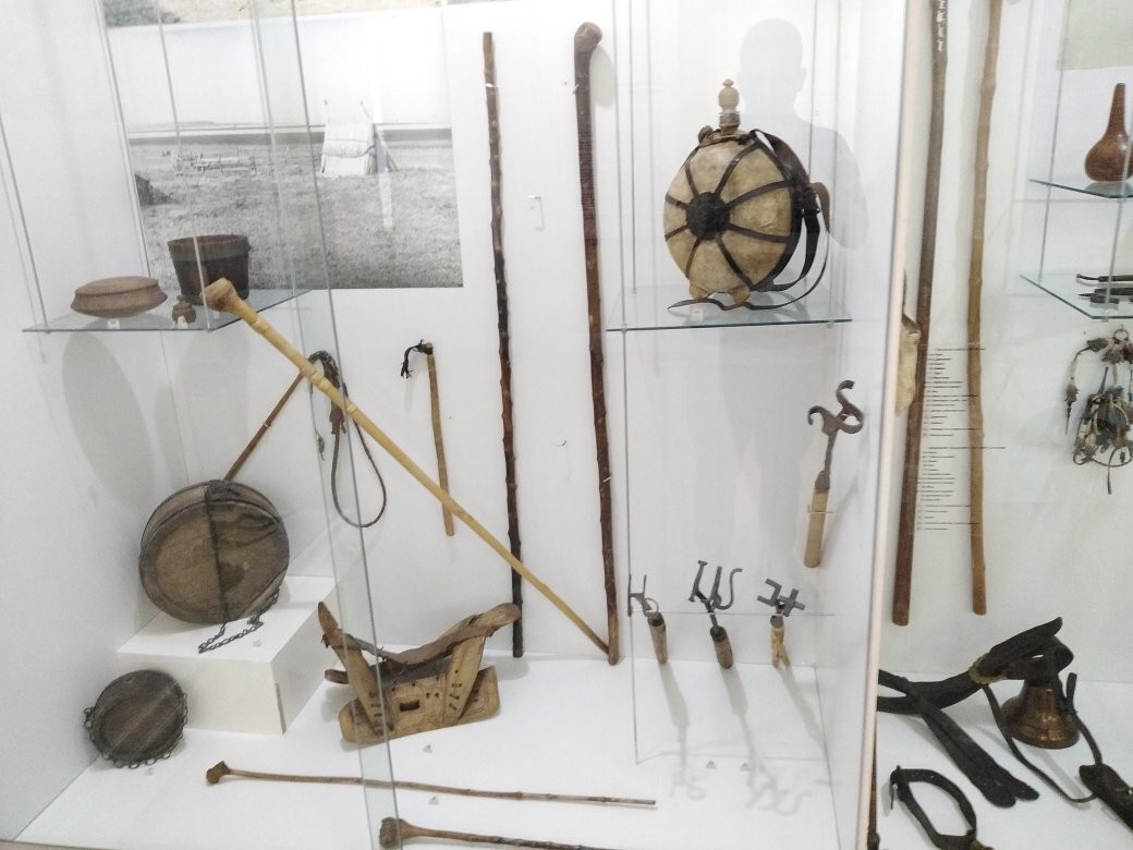 Museum of Vojvodina景点图片