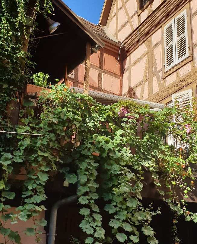 Chez Myriam Cécile Et Caroline主图