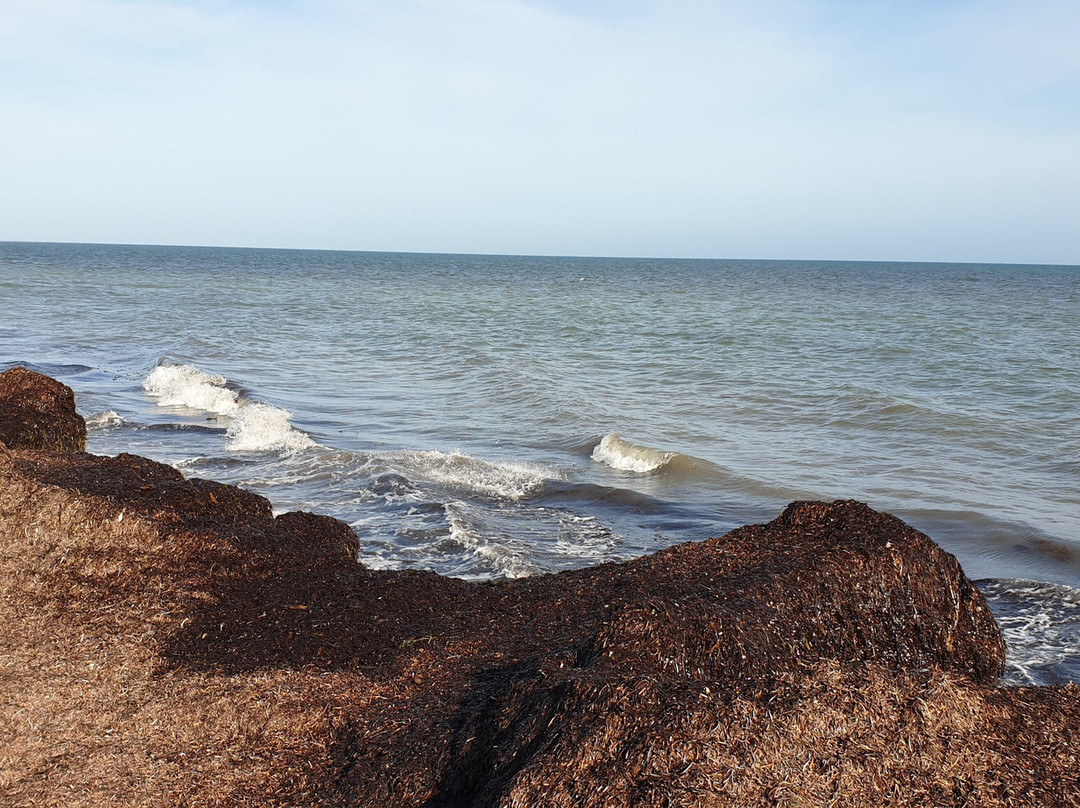 Kingston Jetty-金斯顿镇必去景点