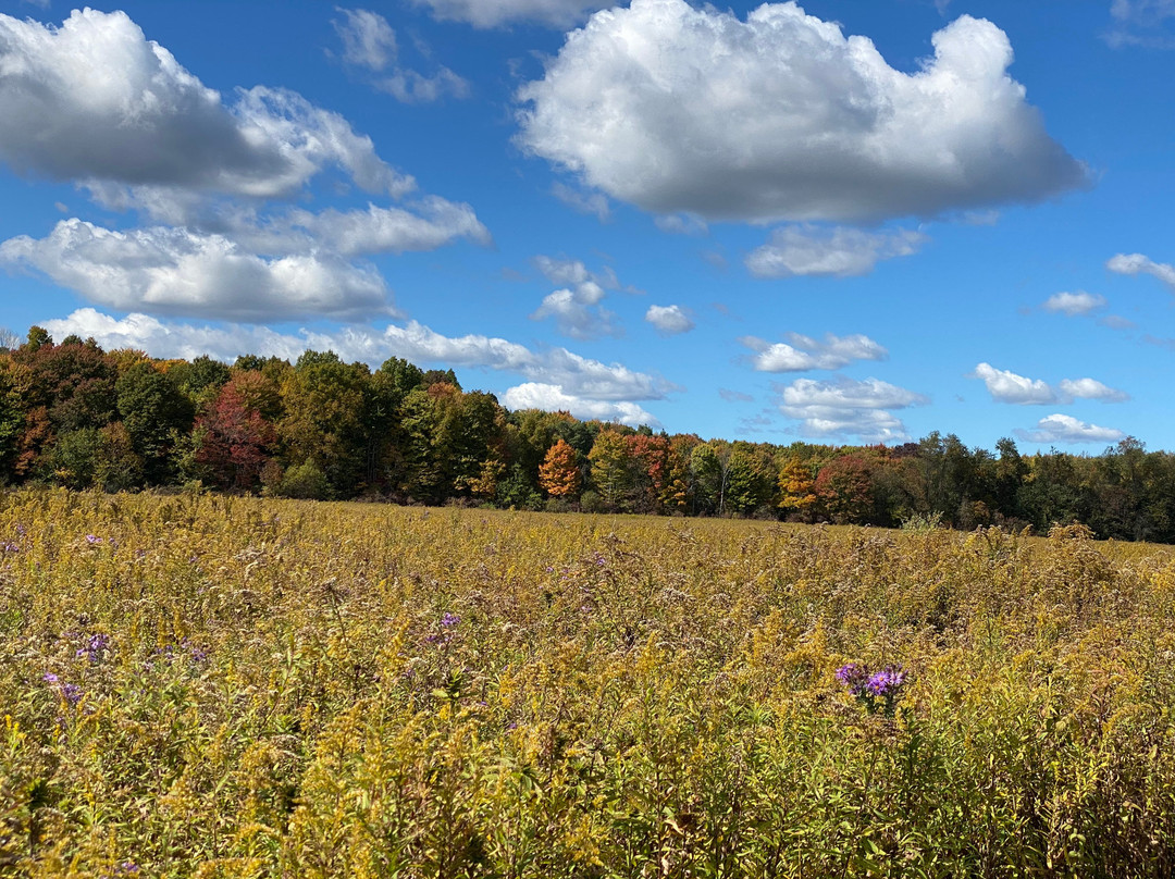 Burton Wetlands Nature Preserve-Burton必去景点