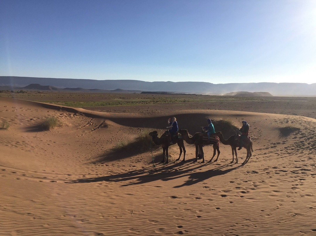 Sahara Travelling-迈哈米德必去景点