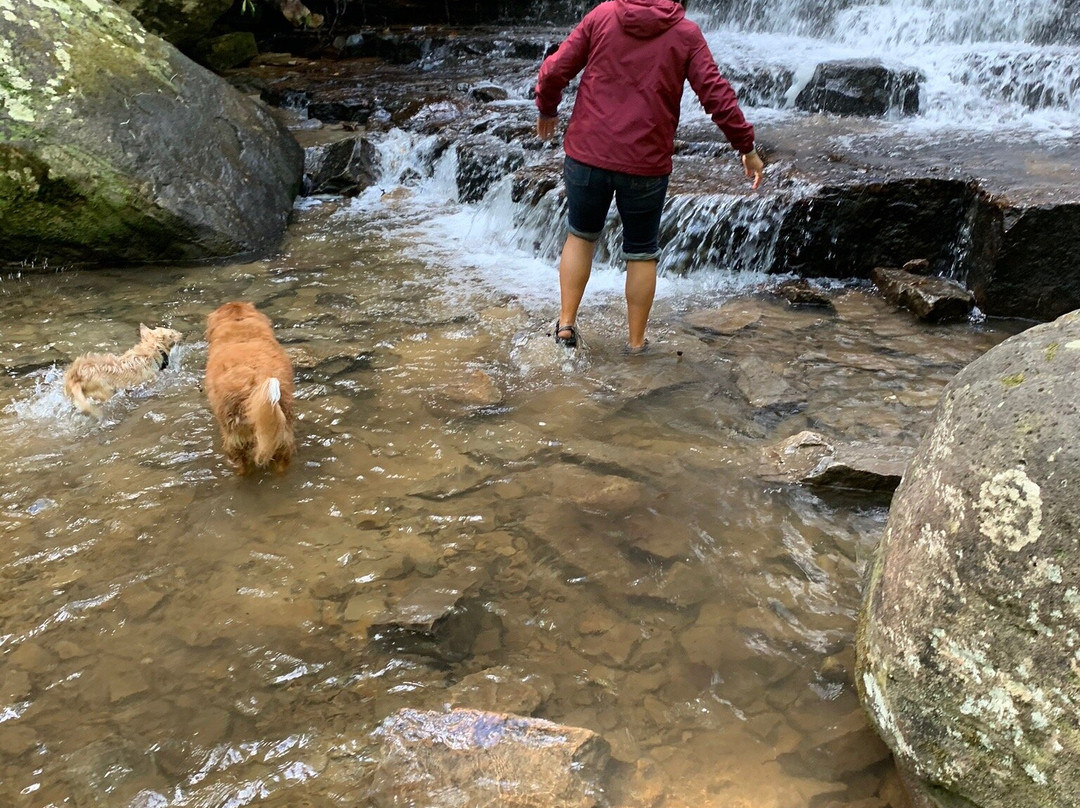 Benton Falls Hike-Benton必去景点