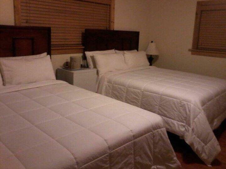 Eva's Bonefishlodge主图