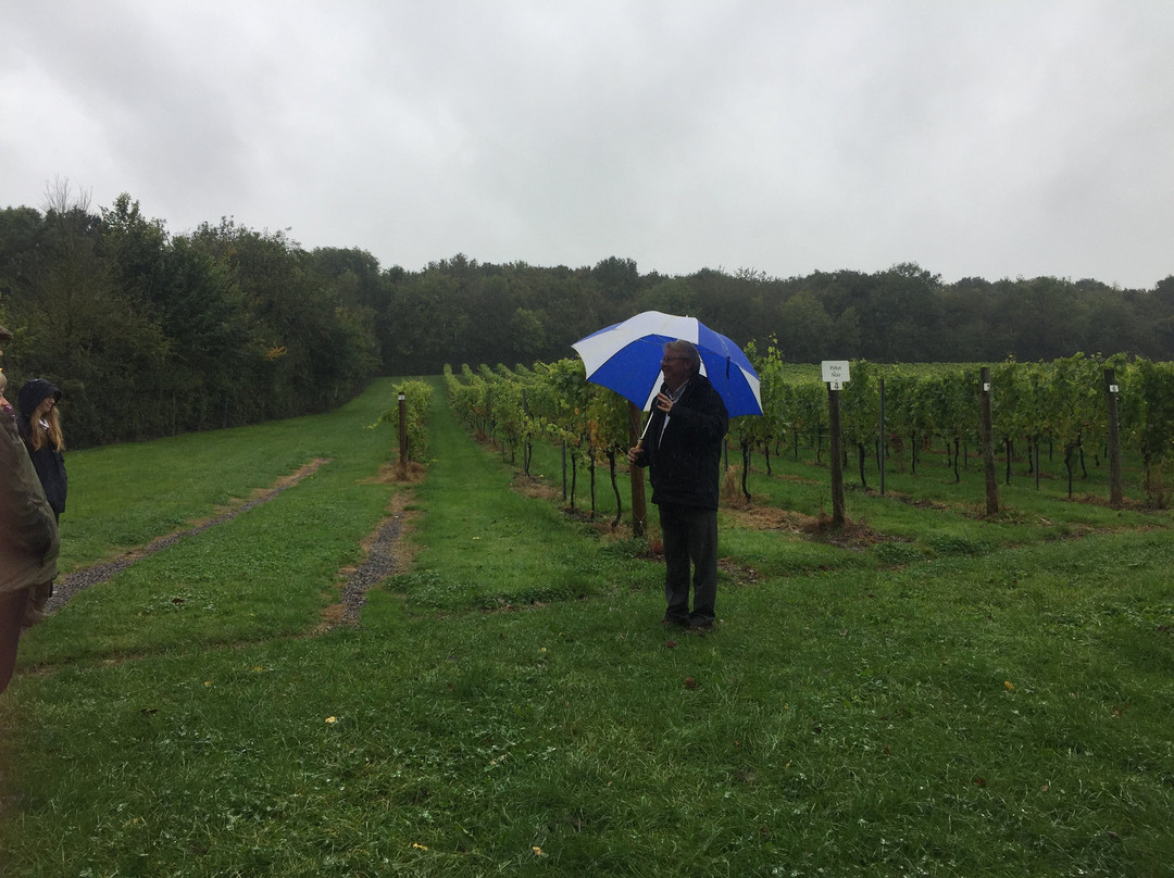 Aldwick Estate-Redhill必去景点