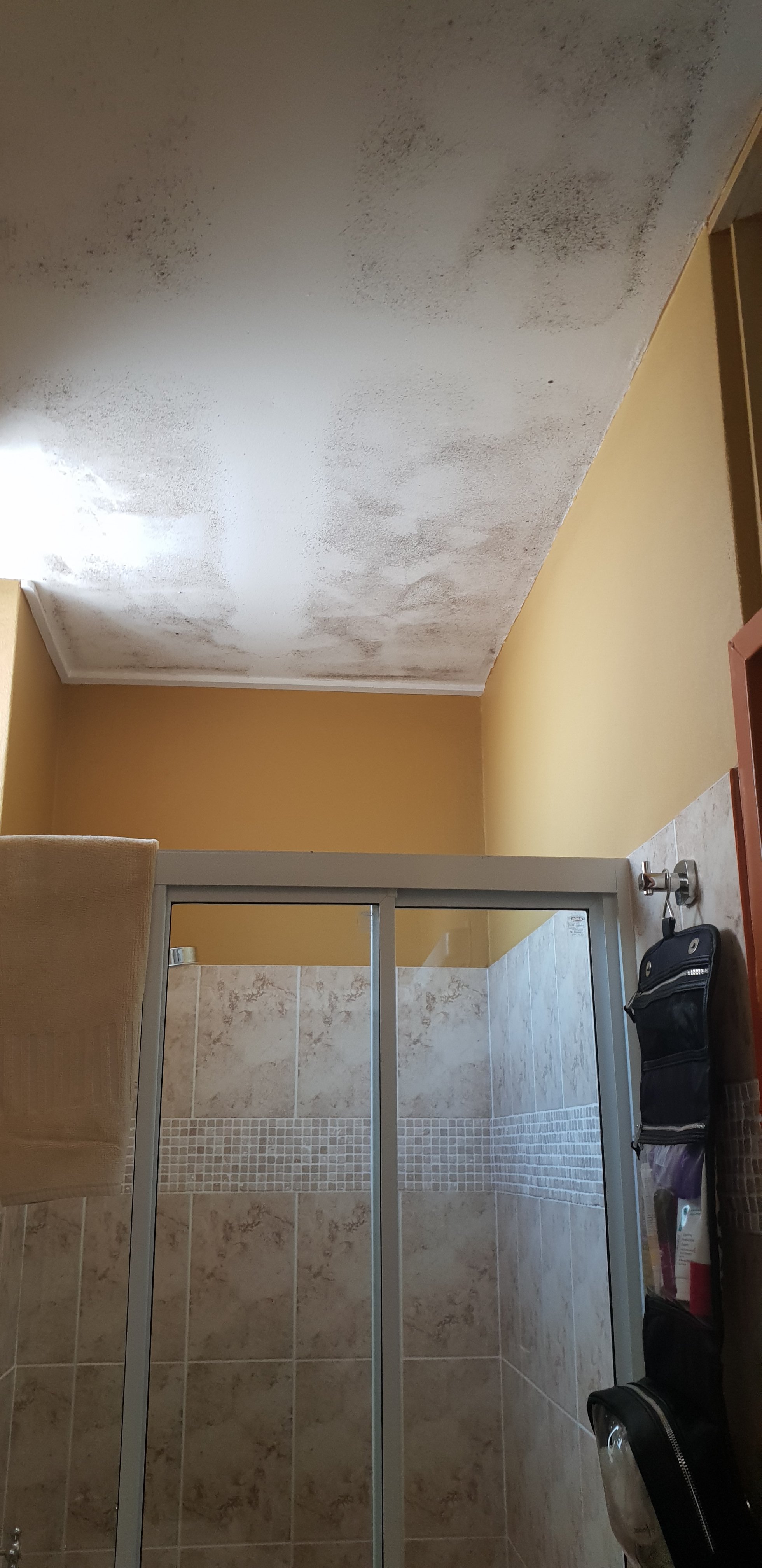 New Olympic Motel-官方