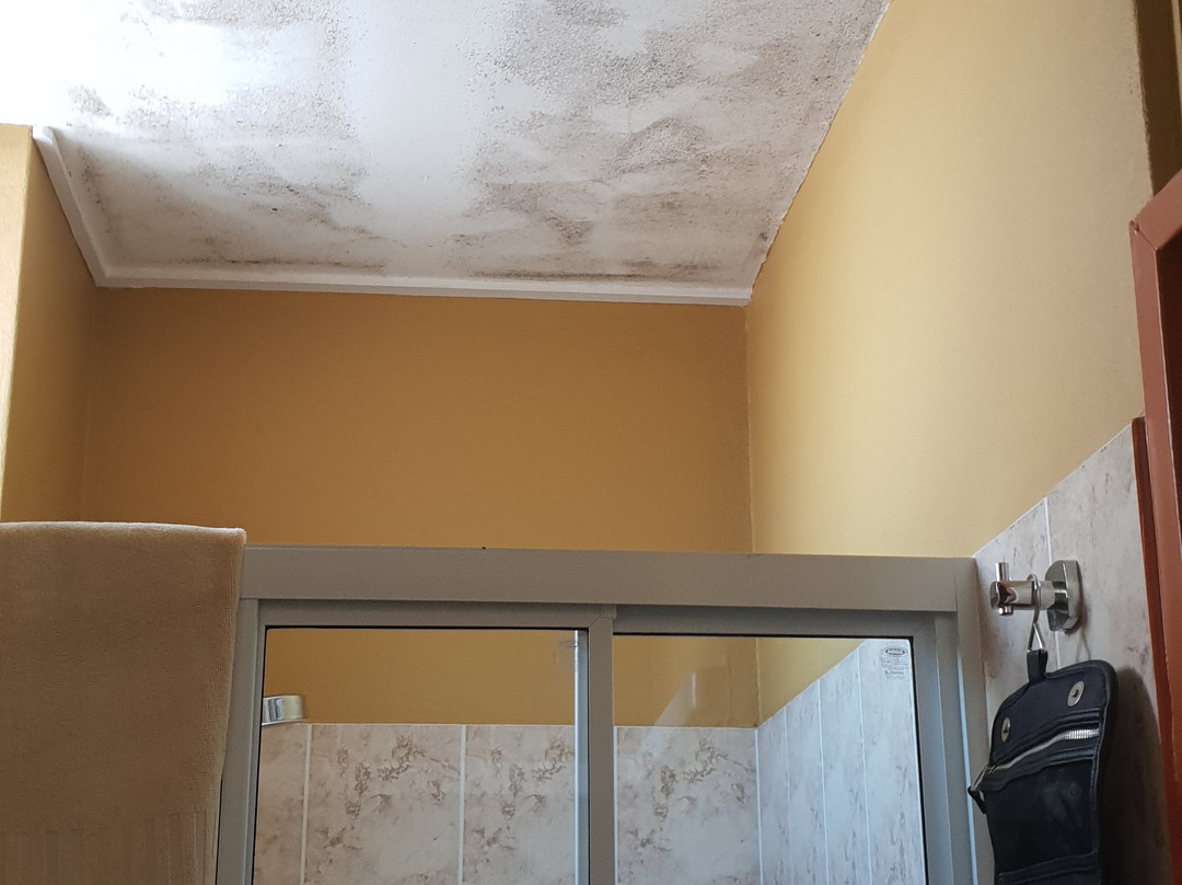 New Olympic Motel主图