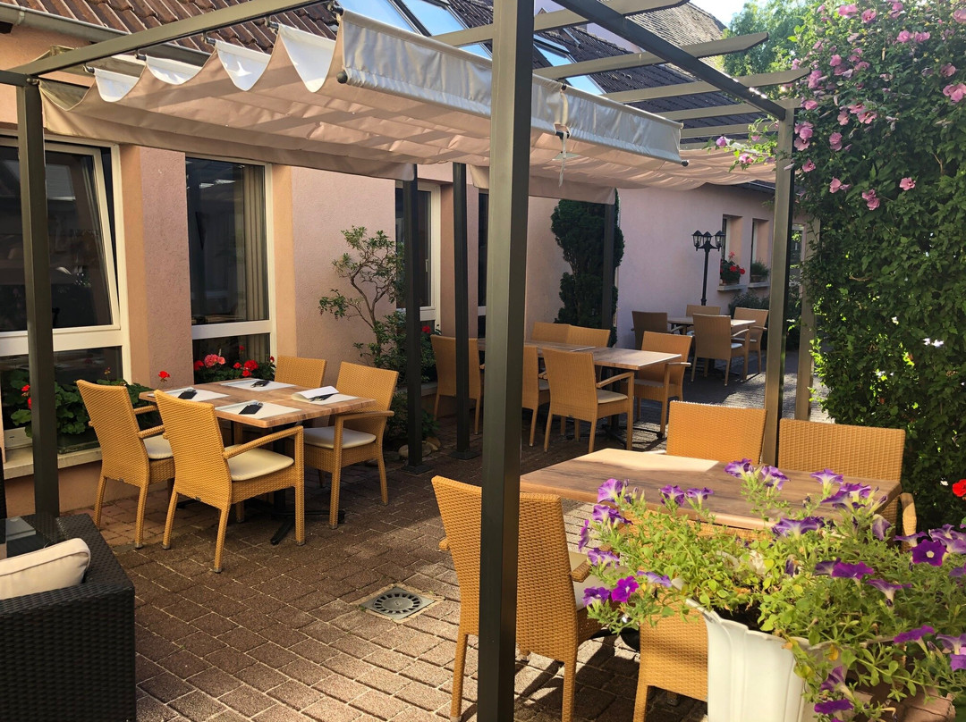 Logis Hôtel Ritter'Hoft主图