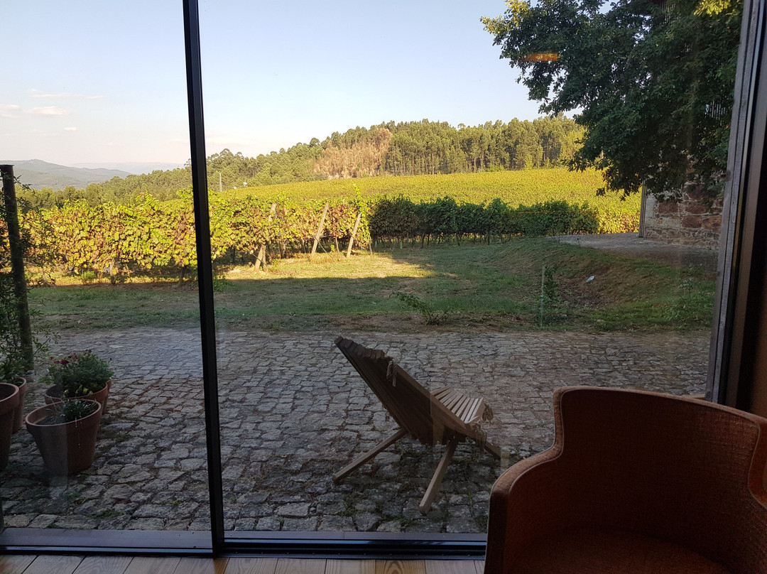 Monverde Wine Experiene Hotel主图