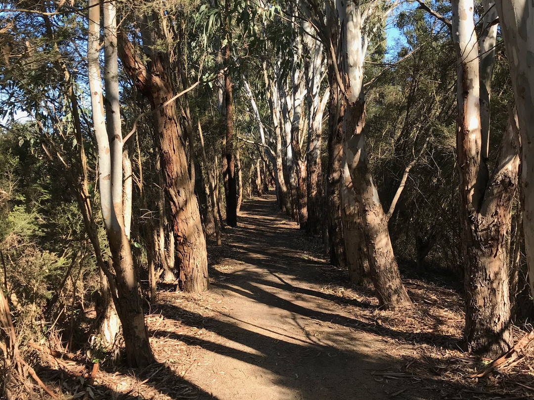 Heyfield Wetlands Information Centre-Heyfield必去景点